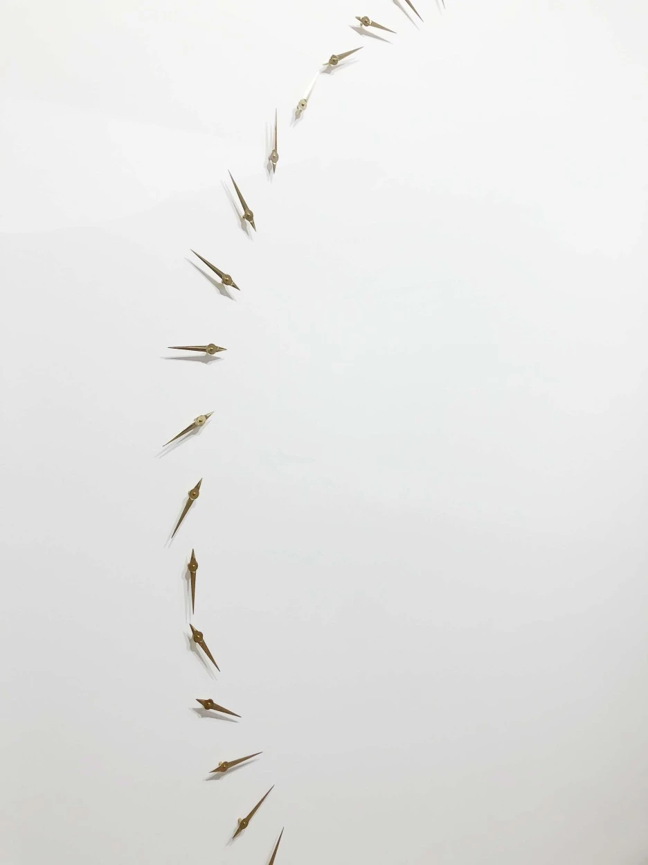 IMG_5010.jpeg?type=w1