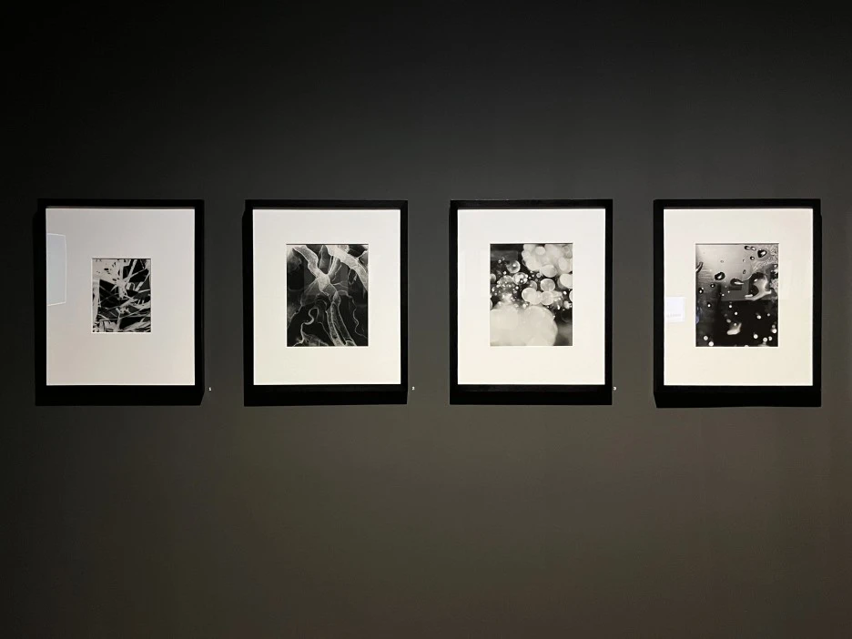 IMG_1047.jpeg?type=w1