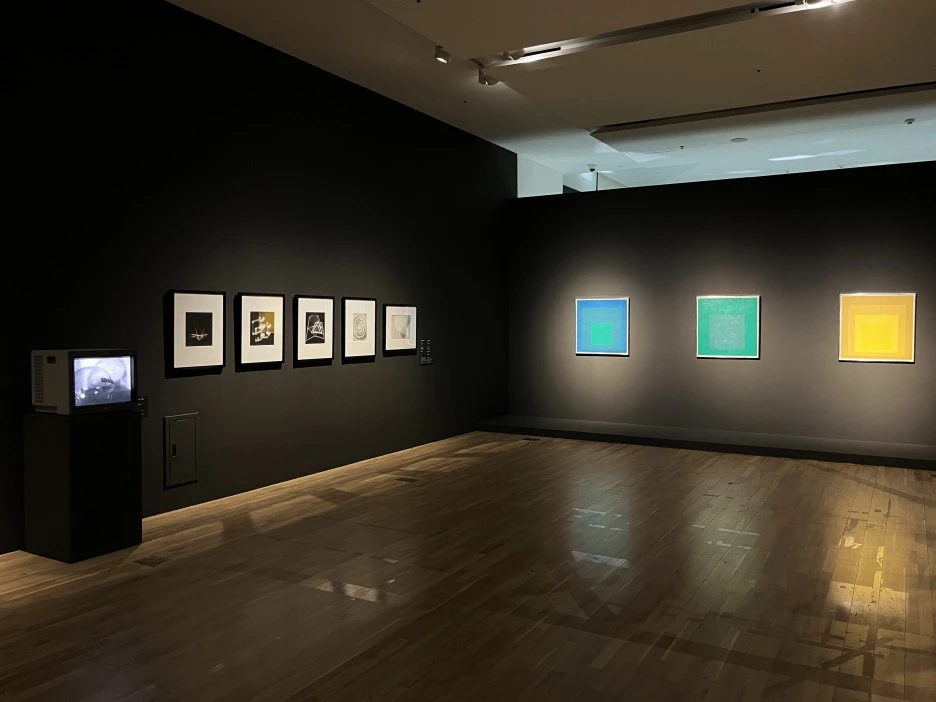 IMG_1045.jpeg?type=w1