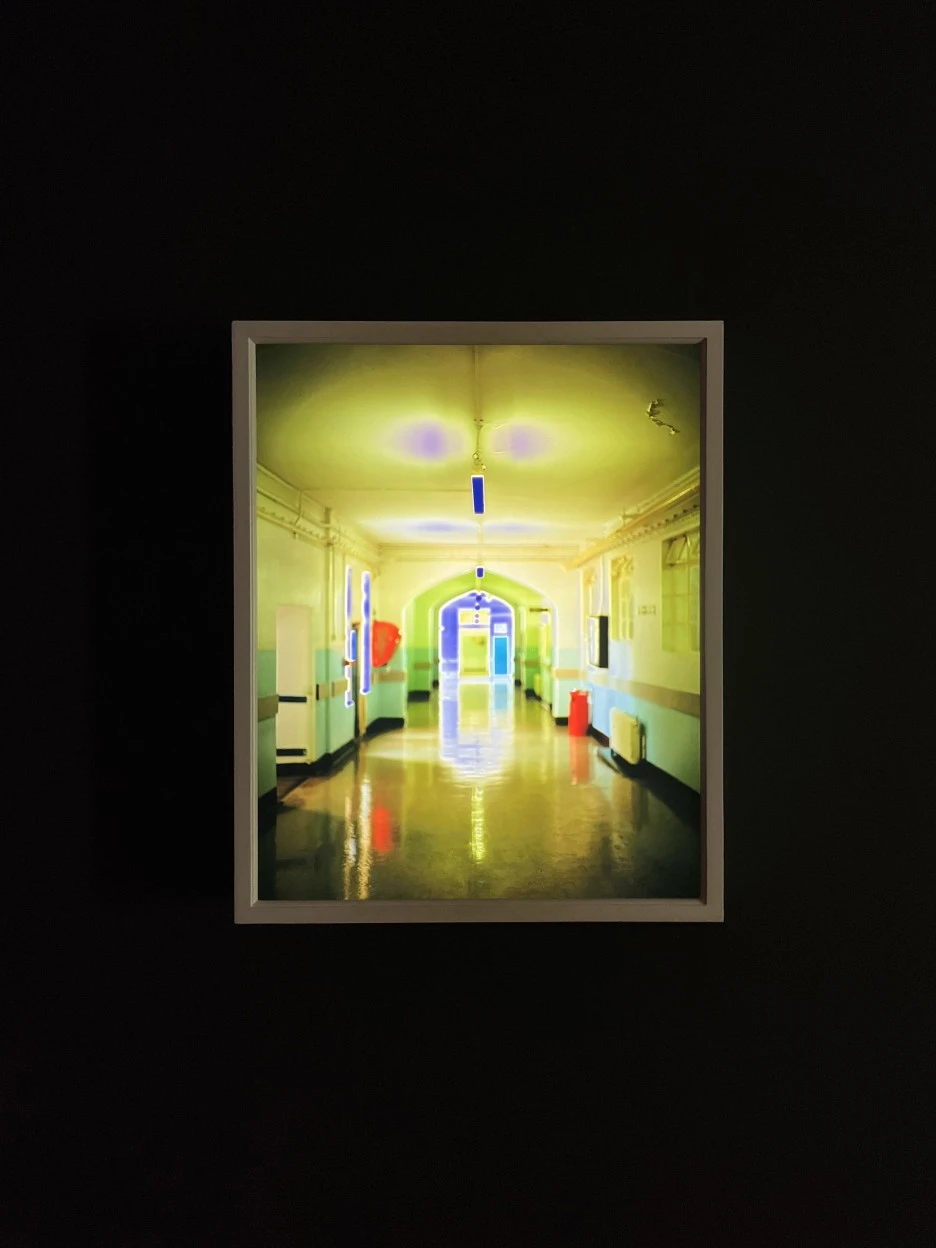 IMG_1081.jpeg?type=w1