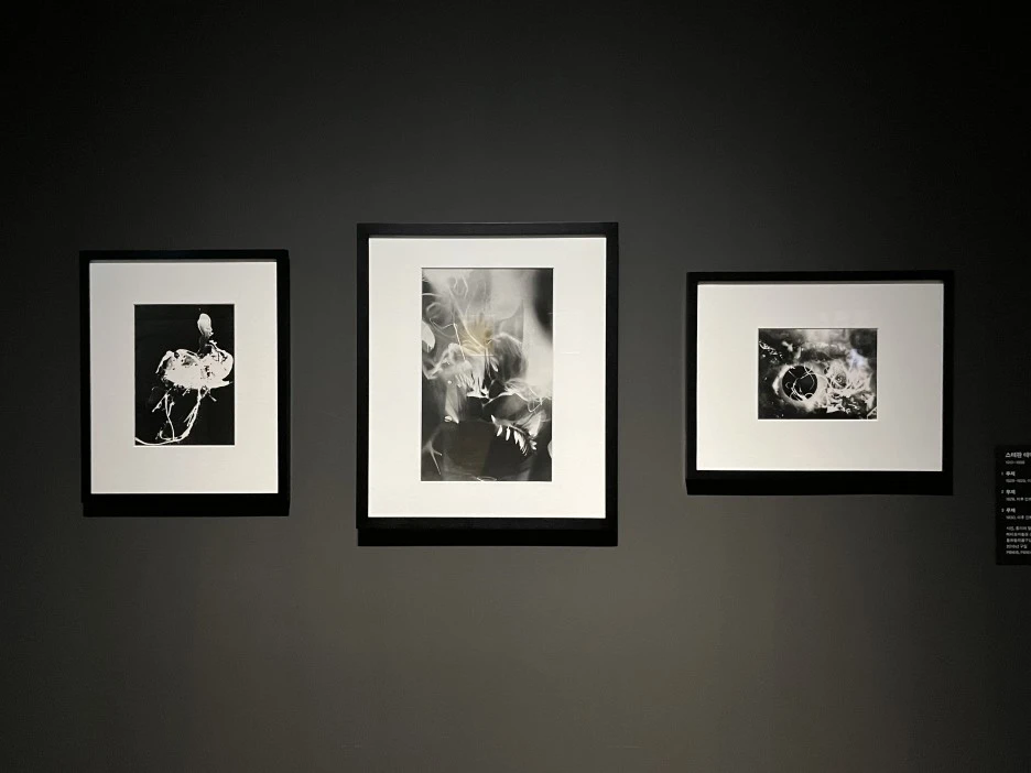 IMG_1058.jpeg?type=w1