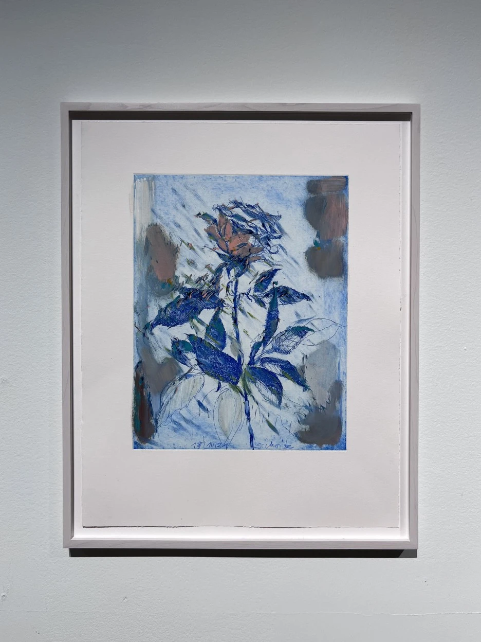 IMG_0221.jpeg?type=w1