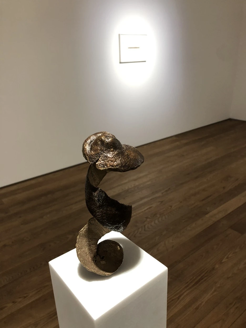 IMG_5046.jpeg?type=w1