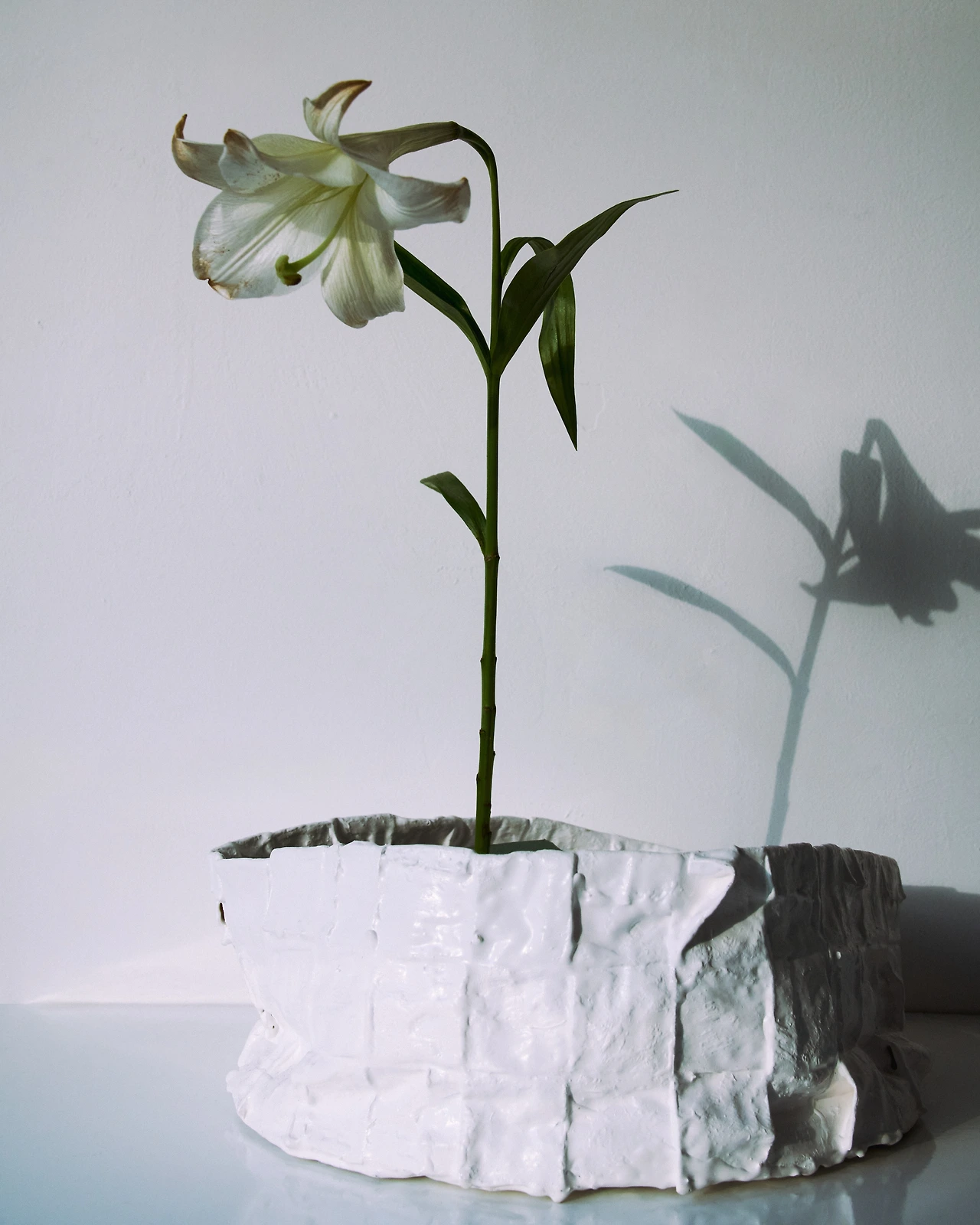 2 (c) 박인준(@pinjuni).jpeg