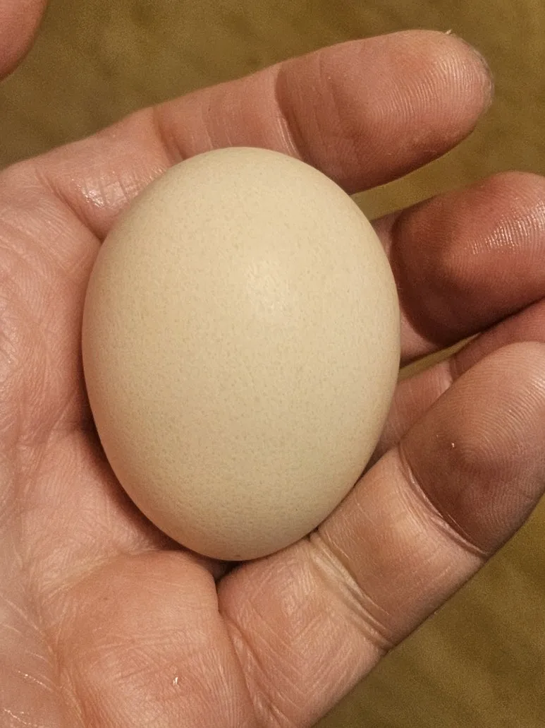 20250129_130506.jpg?type=w773