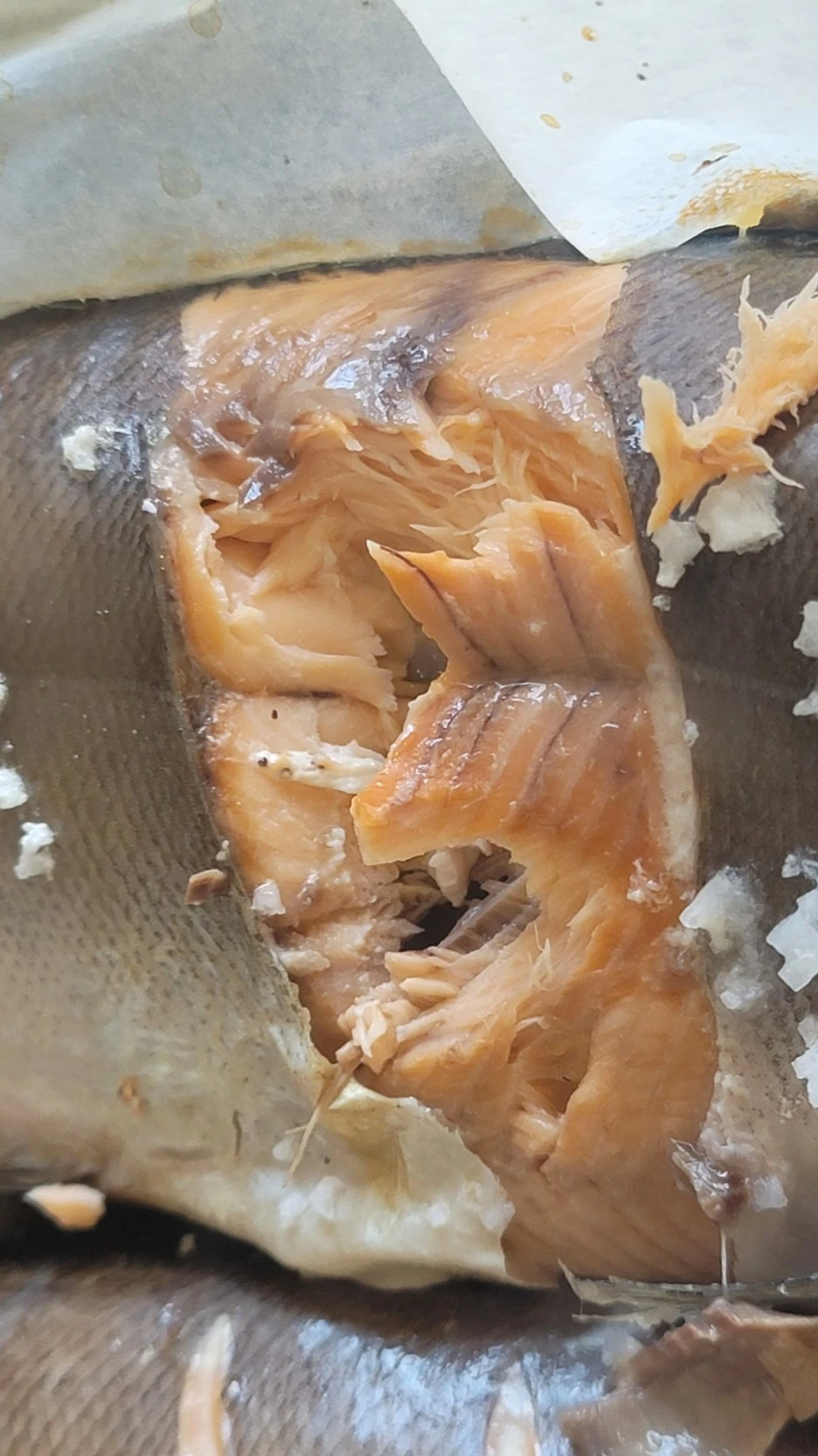 SE-b1345ca3-4710-4066-b754-2c4cb64f9de1.jpg?type=w1