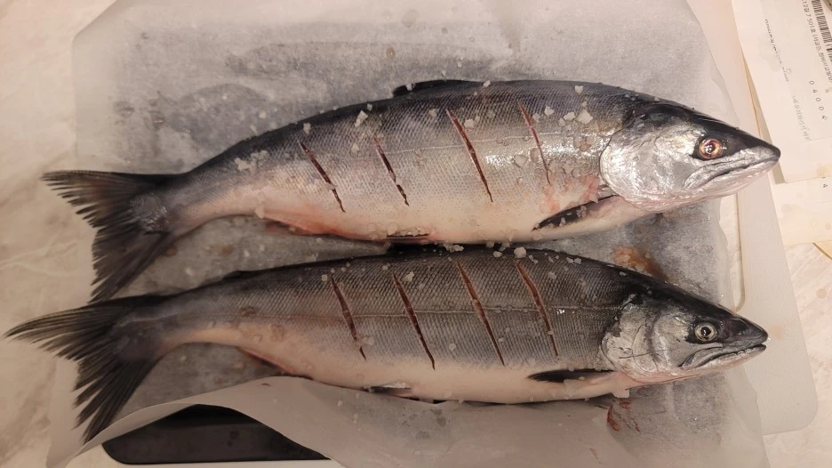 SE-a4fac14b-1bb6-4b26-b992-c528c1930f44.jpg?type=w1