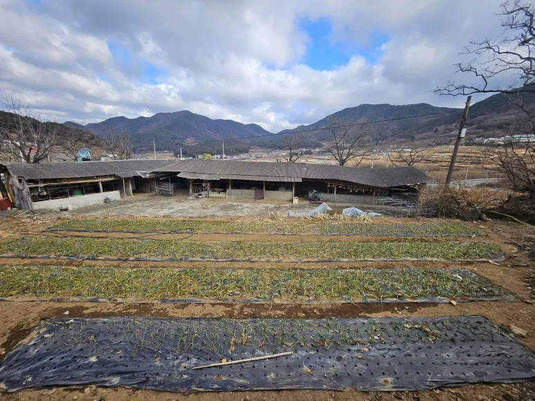 20250125_103227.jpg?type=w773