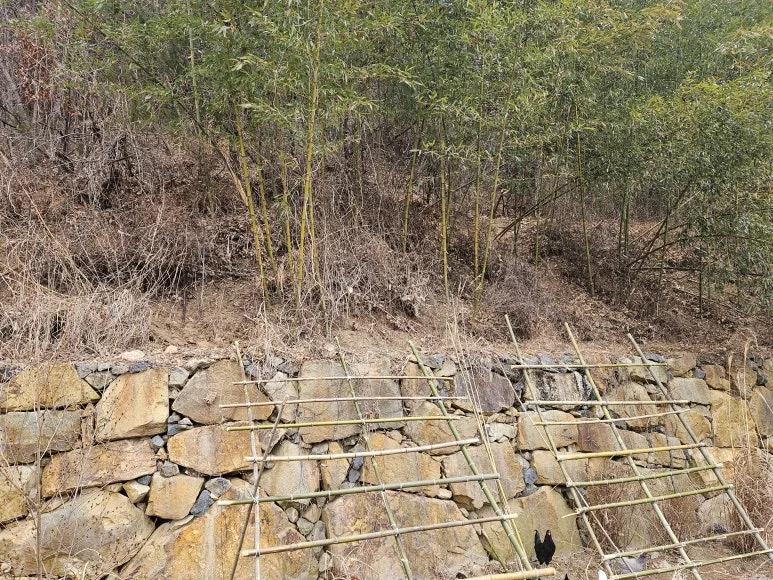 20250125_105204.jpg?type=w773