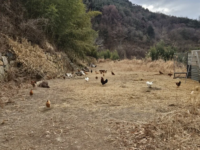 20250125_105018.jpg?type=w773