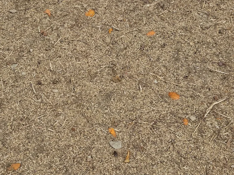 20250125_105200.jpg?type=w773