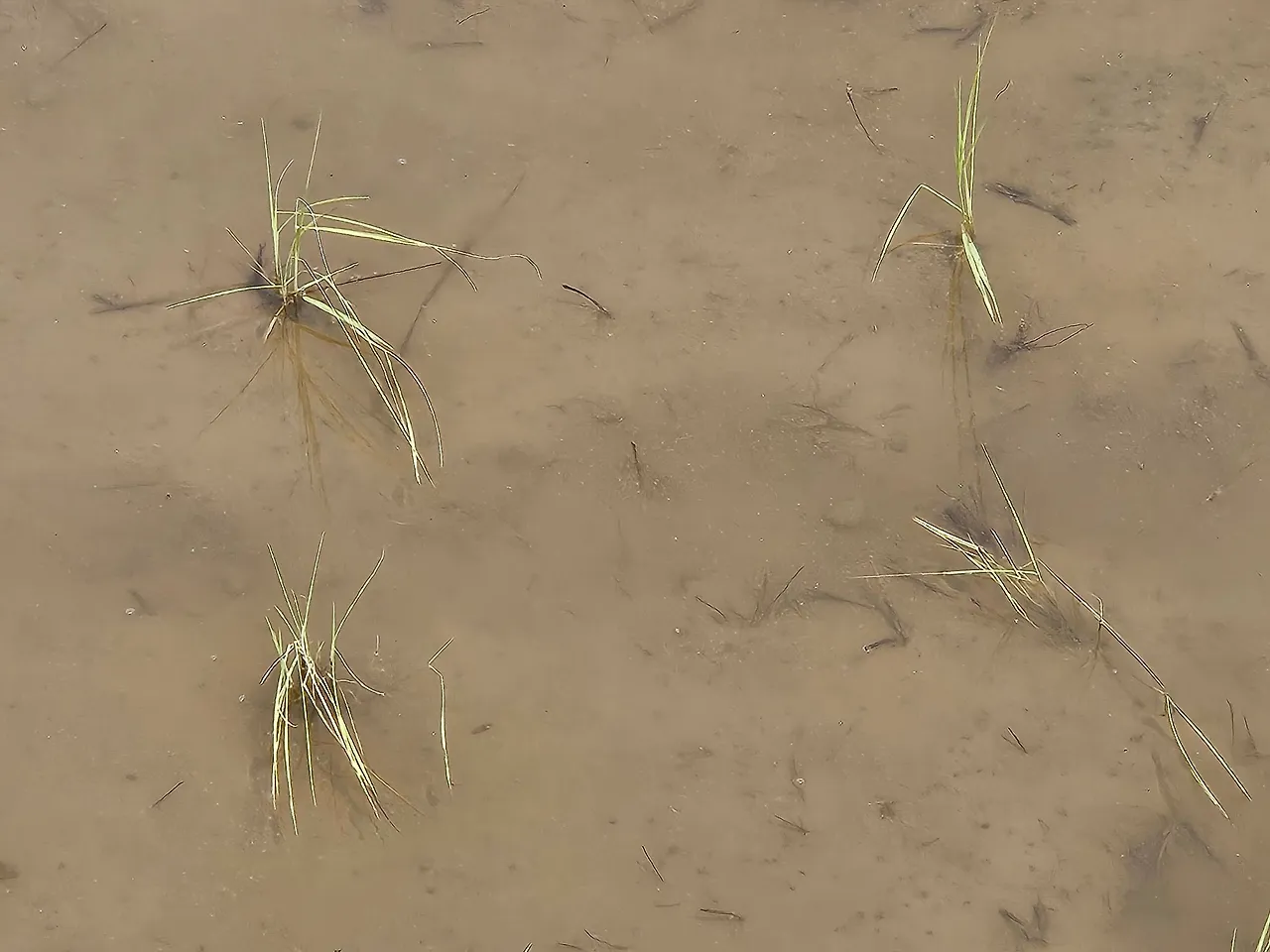 AGV_vUc6aOMk5j8W0JqDpYw4WFbODpO_jw_p44cXZ_hvT6gvmVehIq0NMQ0KlQoz62D6vNW-1MDZrbeLjJ16s9HxnGTNosHCoGxSsVtVa7IRhGBp2ITu1_QmAhlMvGxL7QwhgsB8yzZMCk6qaon4KNwj9sMuj9ylJRMEtDMXiu8Xvkl5Hw=s2048?key=ih_yGkjffhH39CFnz2WO7Q