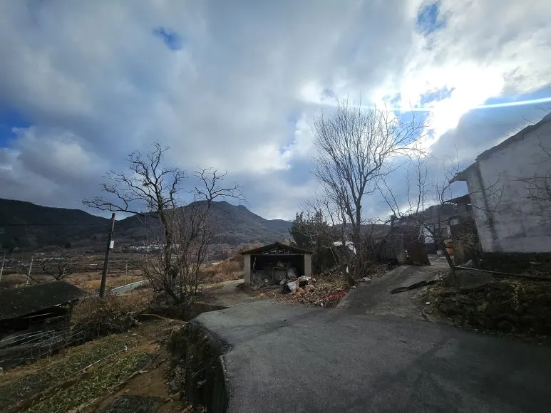 20250125_103242.jpg?type=w773