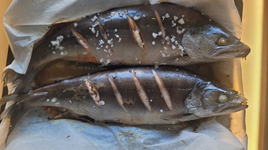 SE-f08da5d2-89fd-4dd5-9103-804d956845fb.jpg?type=w1