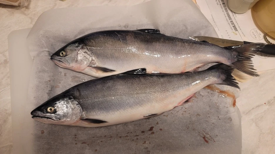 SE-4fda02d4-3e62-4d40-b635-b49a0b012f15.jpg?type=w1