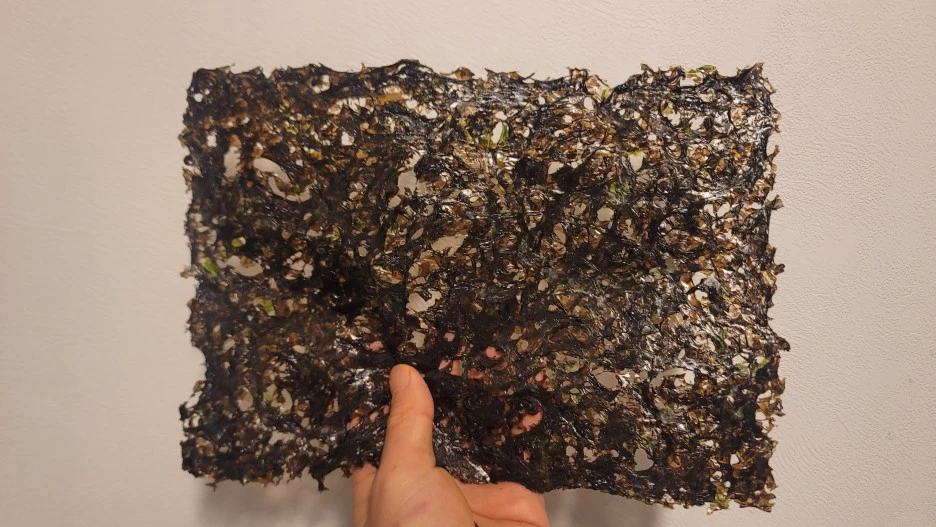 20230119_122340.jpg?type=w1