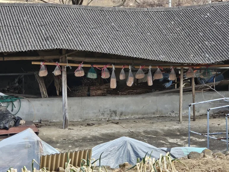 20250125_103232.jpg?type=w773