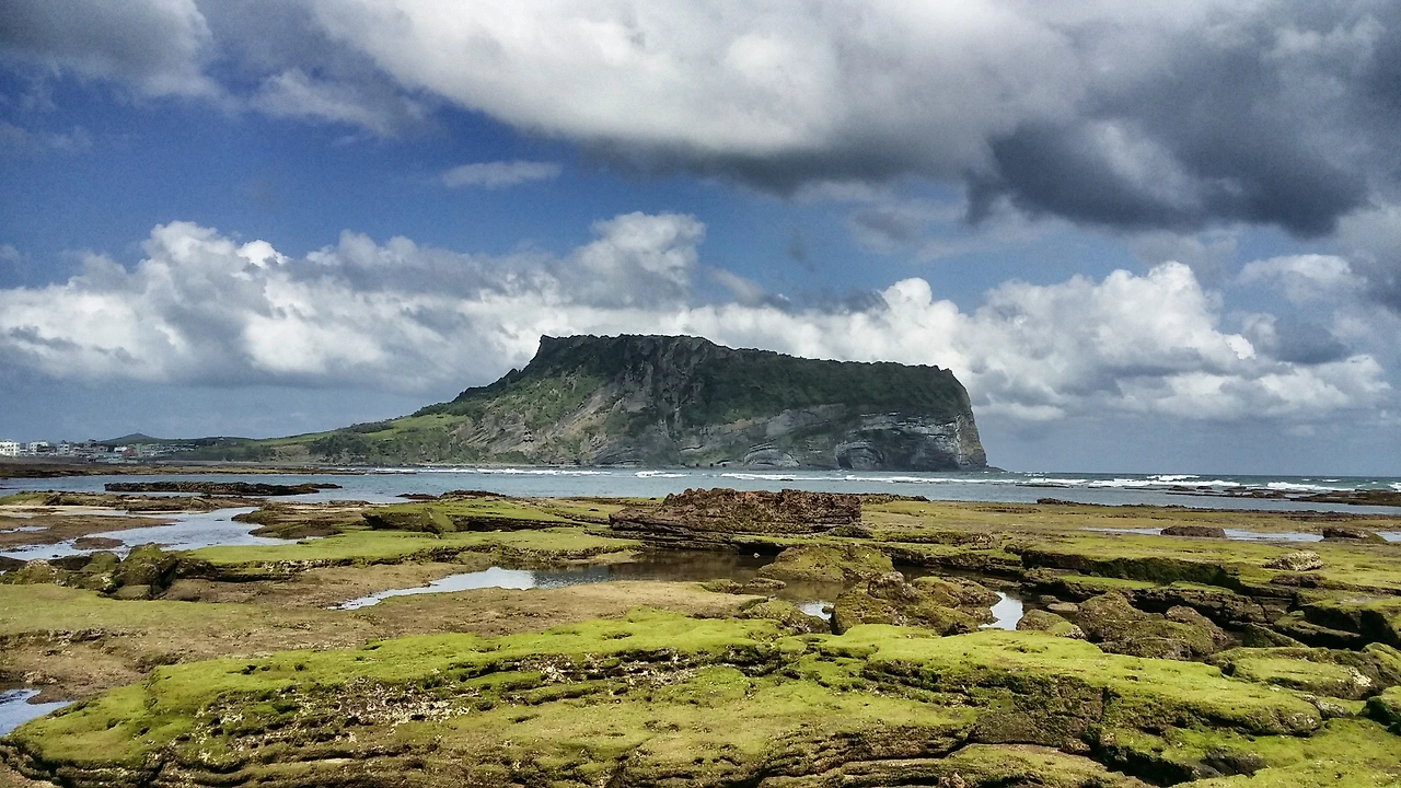 phontograph (15).jpg