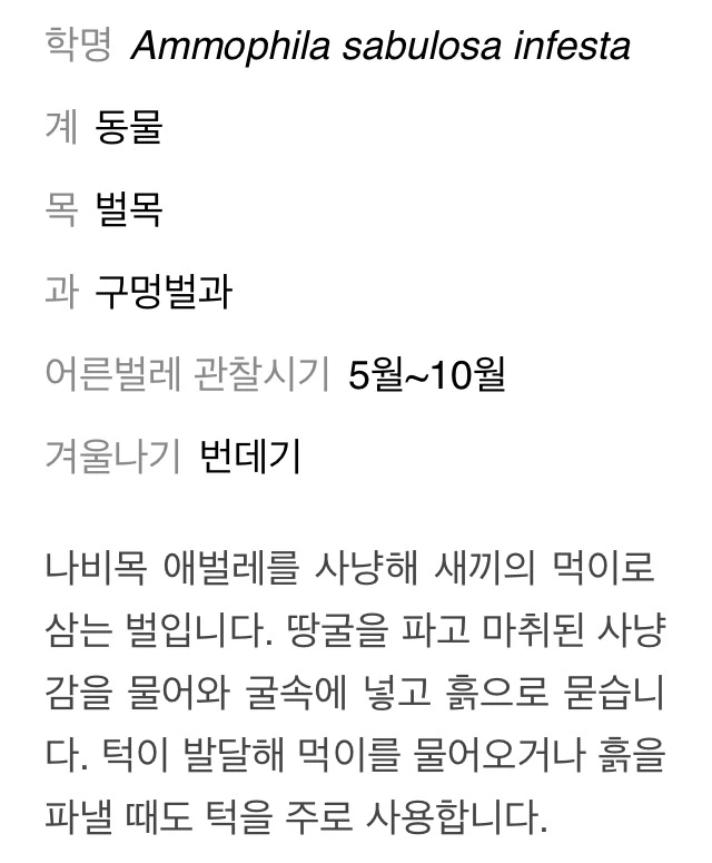 사진 2015. 7. 11. 오후 1 05 27.png