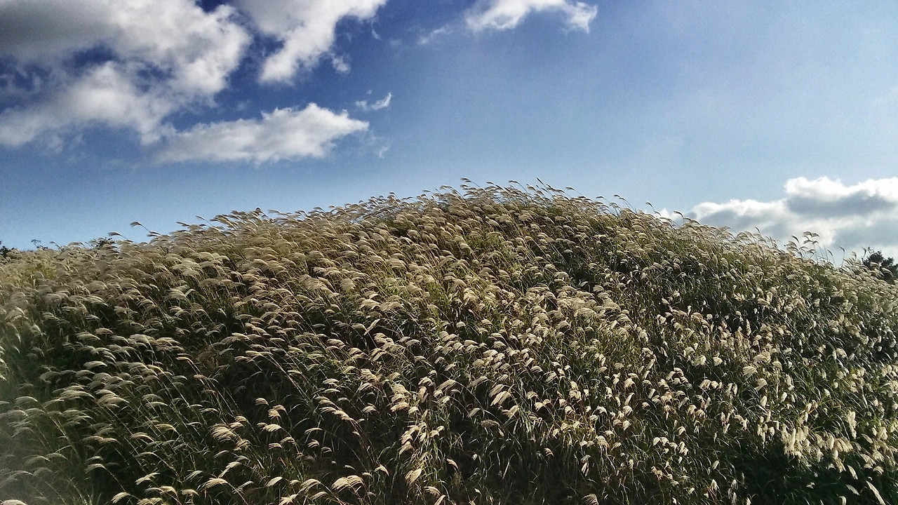 phontograph (11).jpg