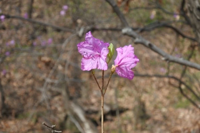 DSC_9215.JPG?type=w2