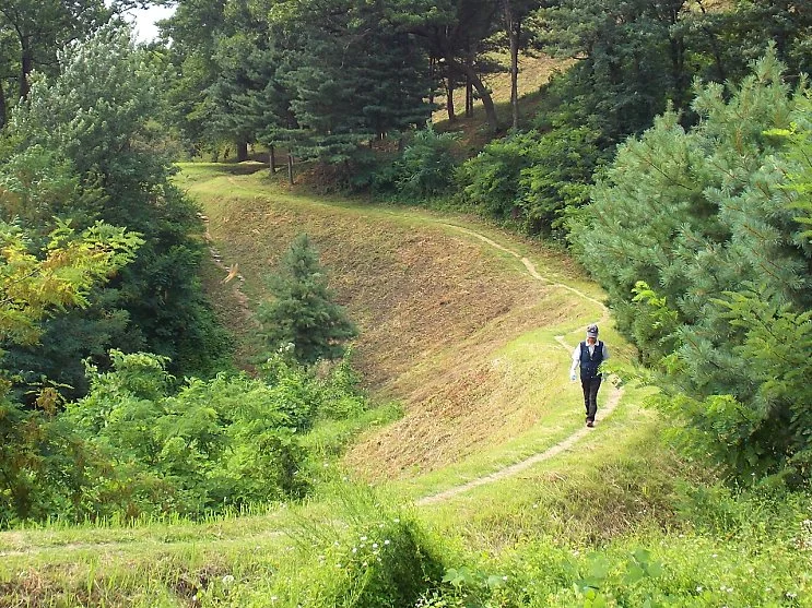 16_daumfunding_3.JPG?type=w2