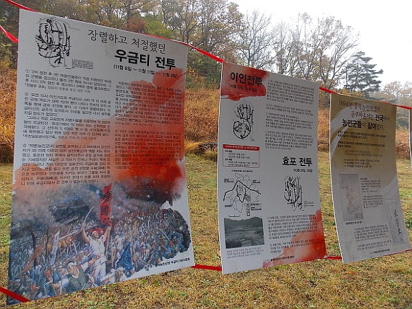 261959495649867D19B0E9