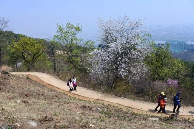 DSC_9468.JPG?type=w2