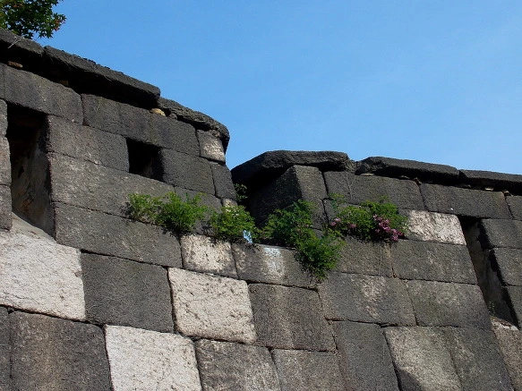 2740174A56F54463221516