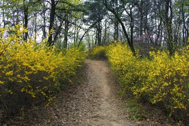 samcheon_trekking_1.JPG?type=w2