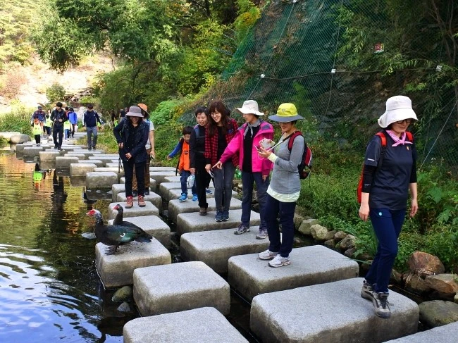 ansan_han_4.JPG?type=w2