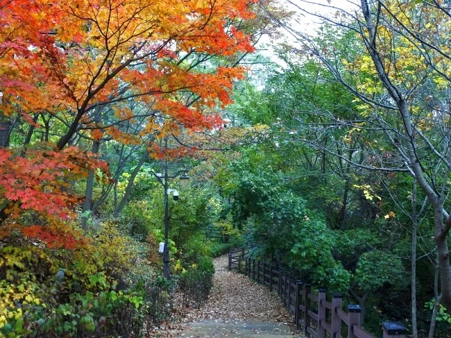 seongbuk_trekking_01.JPG?type=w2