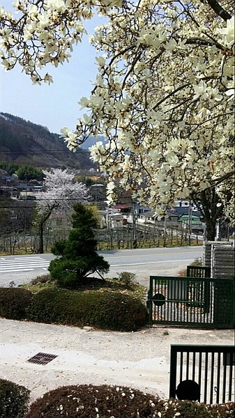 225CA440570905FC0DB028