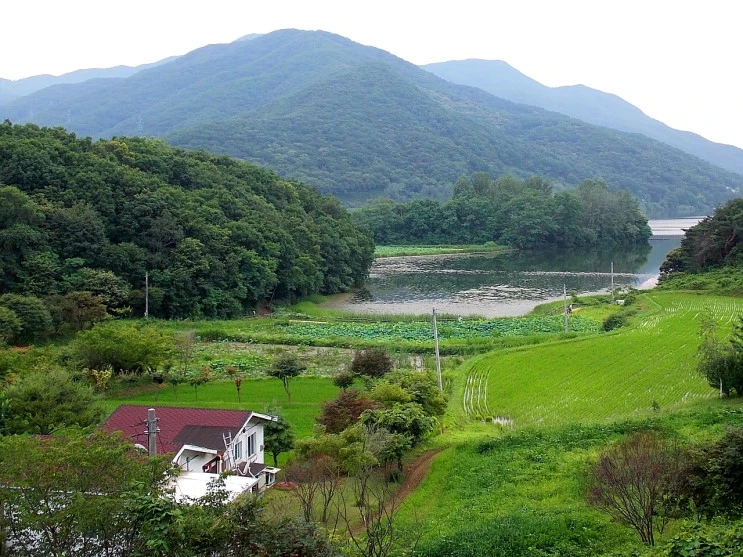 9_daumfunding_8.JPG?type=w2