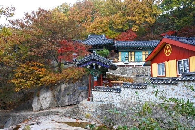 bukak_han_2.JPG?type=w2