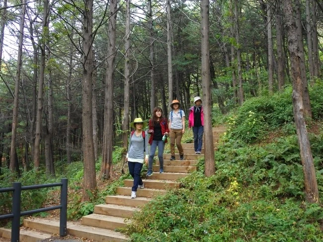 ansan_han_2.JPG?type=w2