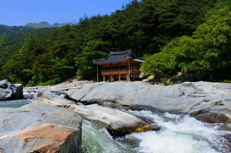 moon_joy_1.JPG?type=w2