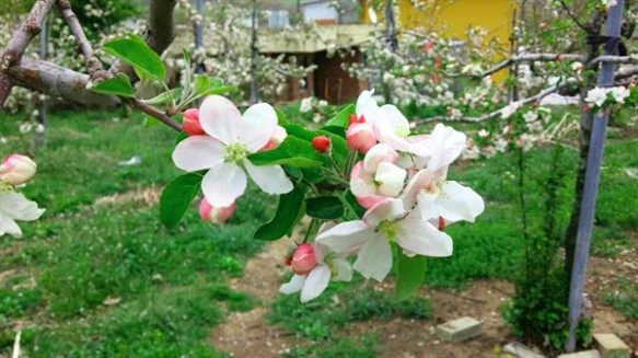 231B60385718B8F7295092