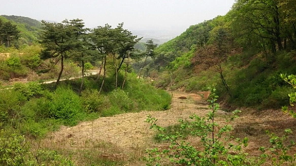 215F38395720CDAF256A8D