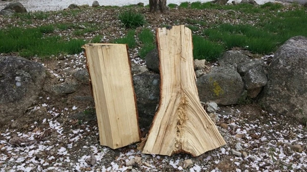 IE001950834_STD.jpg?type=w2