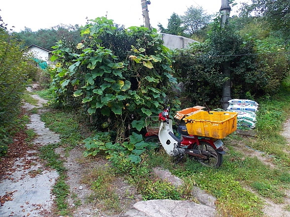 26391D3B55A244FA3E935B