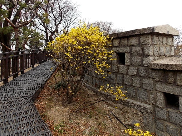 211F5A50570A59A8371DFA