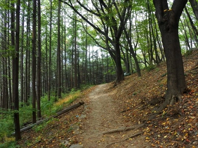 ansan_han_5.JPG?type=w2