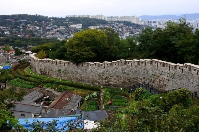 cattle_body_5.JPG?type=w2