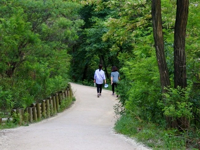 2_funding2_5.JPG?type=w2