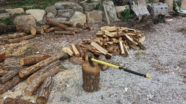 IE001950832_STD.jpg?type=w2