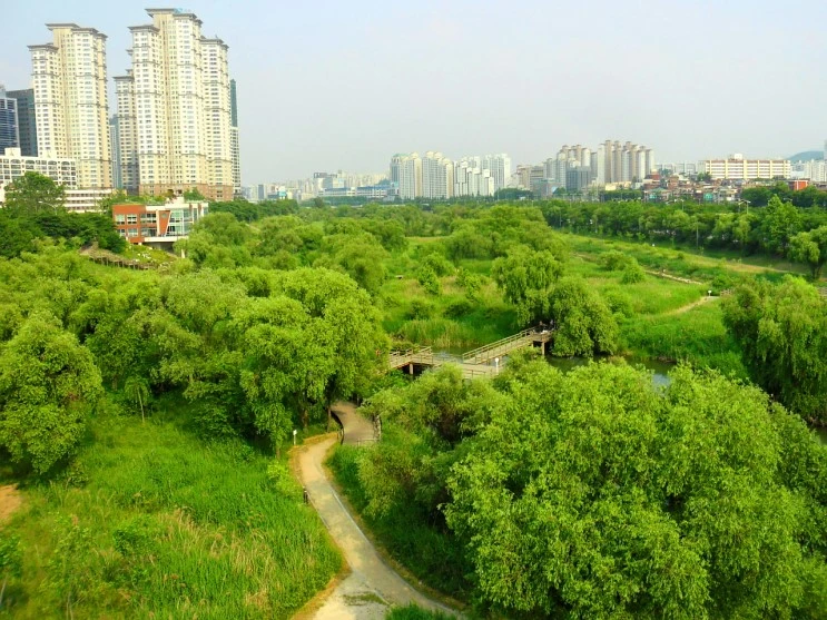 2_daumfunding_2.JPG?type=w2