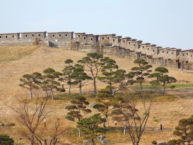 naksan_4.JPG?type=w2