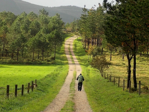 22390D395720D3D43036F6