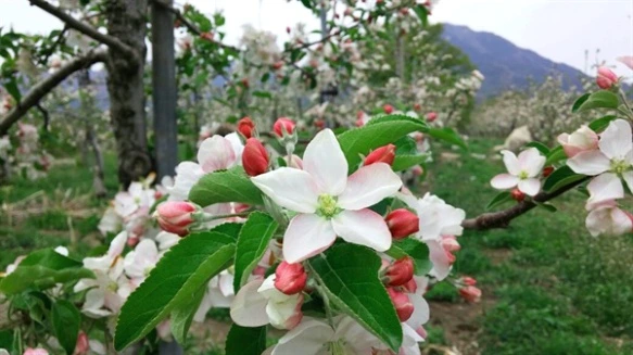 263878385718B8F61D8127